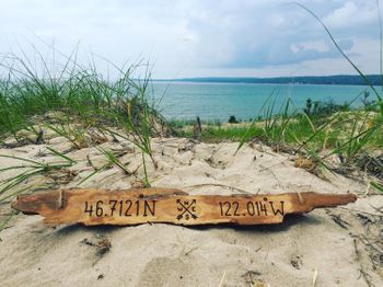 Driftwood personalized sign for men