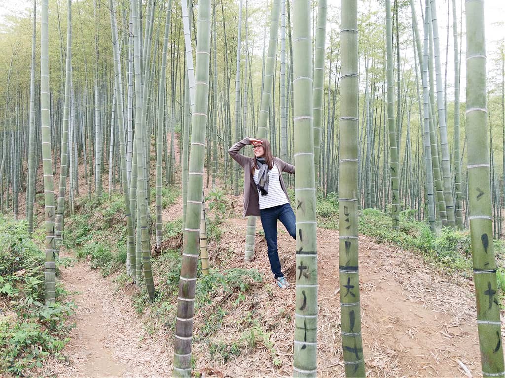 A woman looking through the bamboo