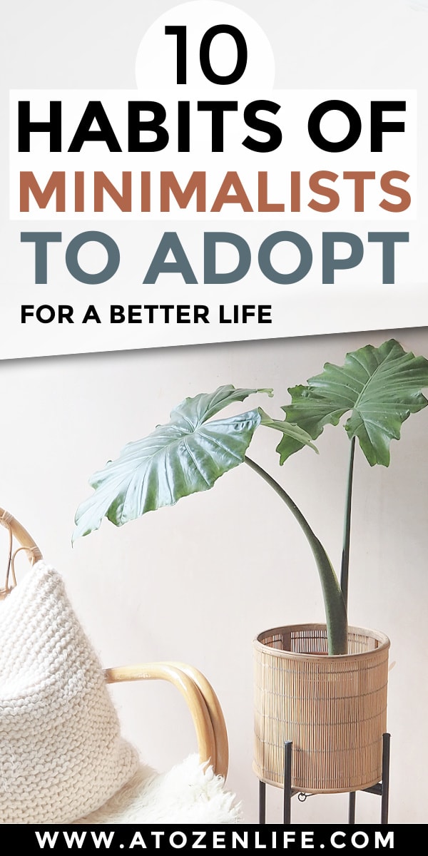 A minimalist person's home with a pretty chair and plant for home decor.