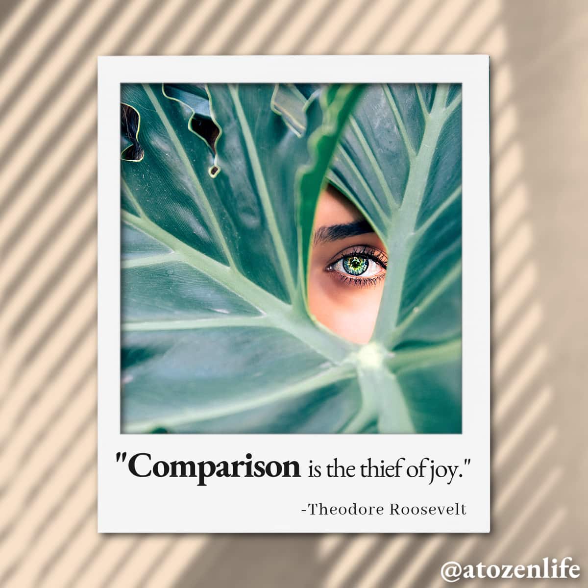 Instagram picture for Theodore Roosevelt quote: Comparison is the thief of joy."