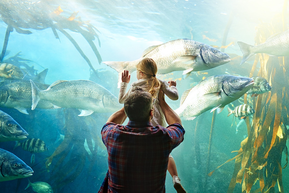 A father who have given his daughter the experience gift of going to the aquarium to look at fish.